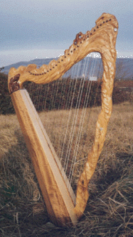 Celtic Harp, Folk Harp, Lever Harp, Irish Harp